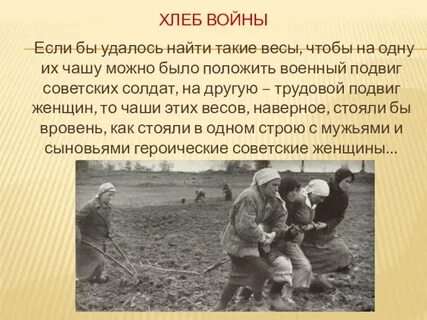 Описание жизни в войну