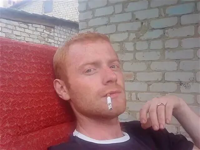 Черников тербуны