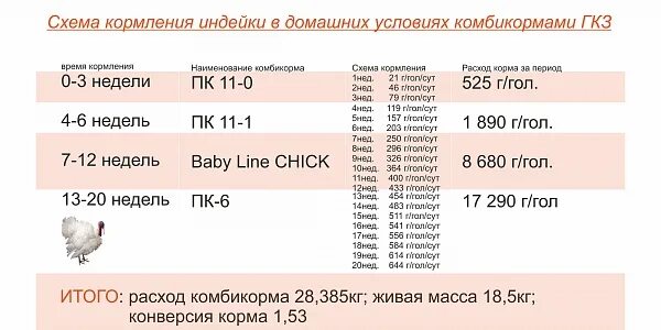 Сколько стартом кормить. Таблица комбикорма для индюшат. Комбикорм для индюков бройлеров. Стартовый корм для индюшат. Комбикорм для индюшат рост.