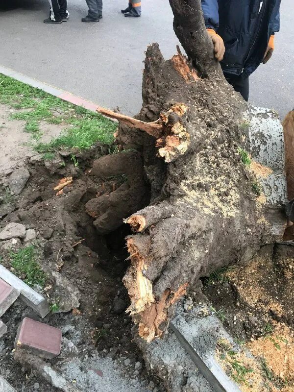 упавшего разобрать