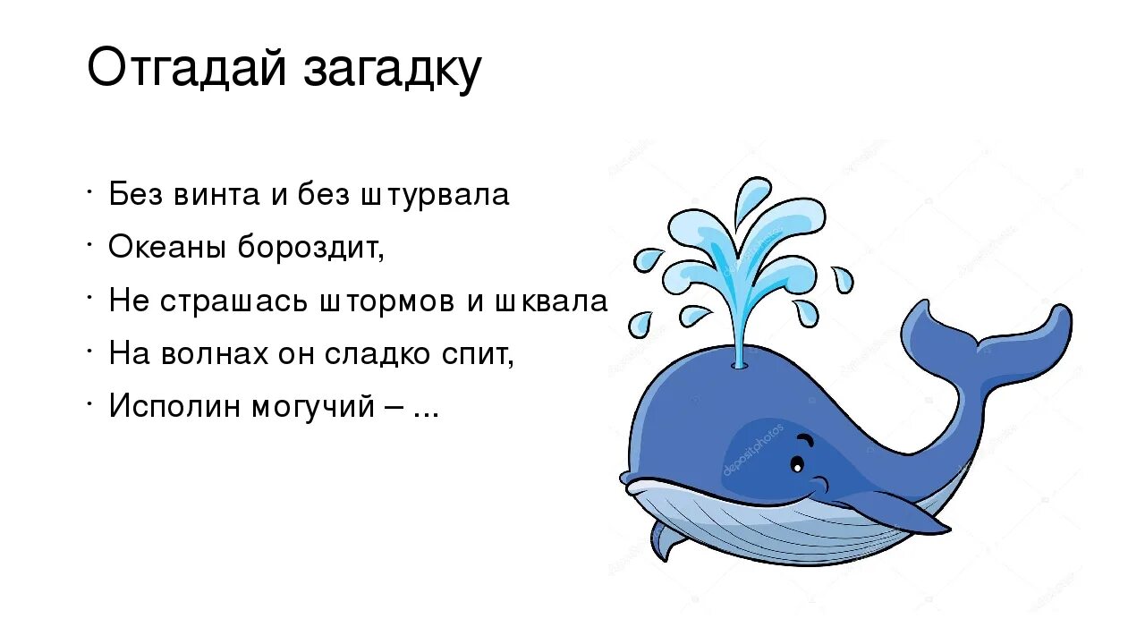 Загадки про океанов. Загадка про кита для детей. Стих про кита для детей. Загадка про кита для дошкольников. Загадка про кита.