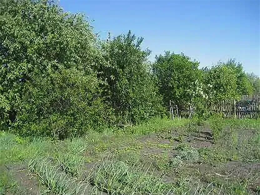 Снт заря елец. Снт заря пупышево. Садовая 8к2 заря. Снт заря 2 липецк. Ворота снт заря 50.