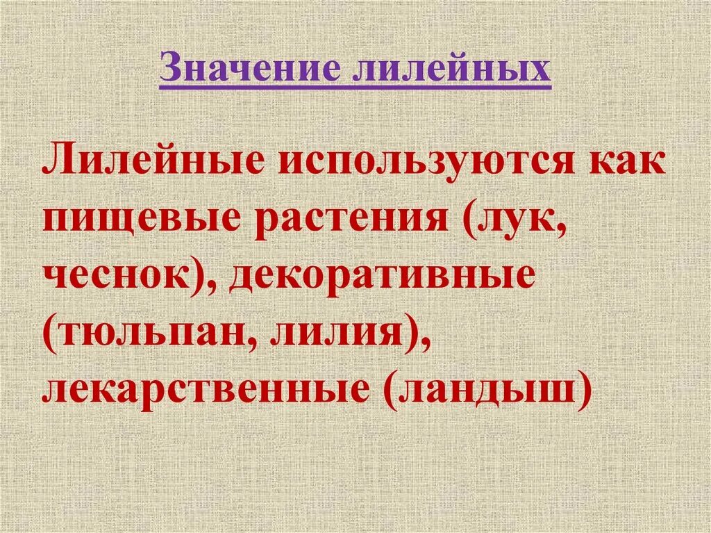 Значение семейства лилейных в жизни человека