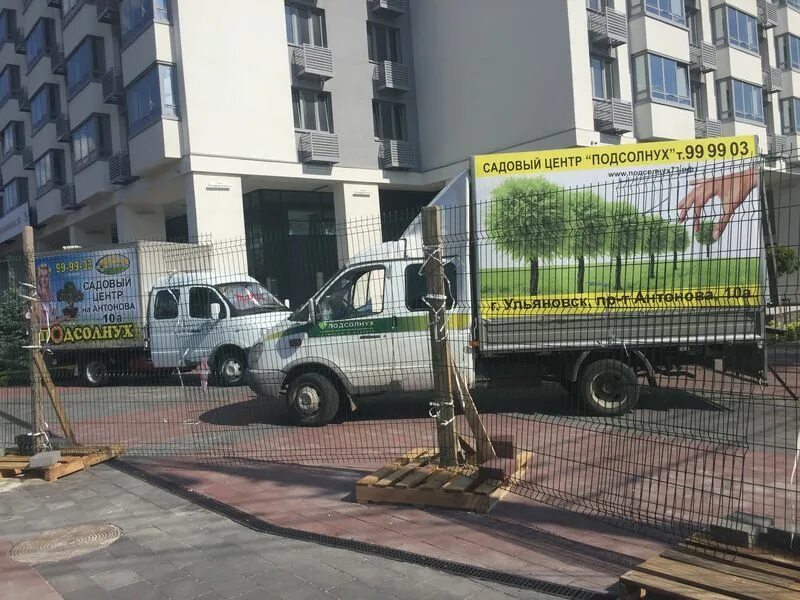 Садовый центр в ульяновске. Садовый центр подсолнух ульяновск каталог. Садовый центр подсолнух ульяновск каталог. Садовый центр подсолнух ульяновск. Садовый центр подсолнух великие луки.