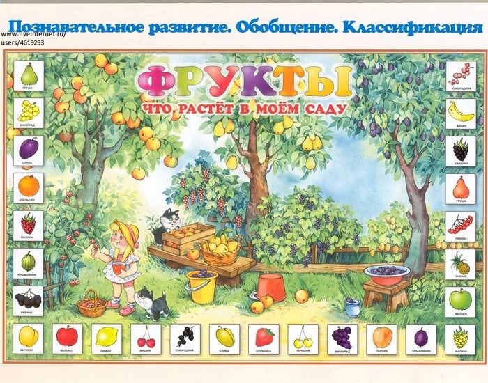 Наглядный материал в саду