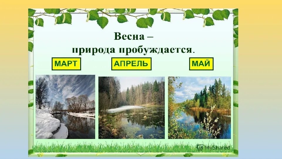 Март апрель май природа. Весенние месяцы. Живая природа весной.