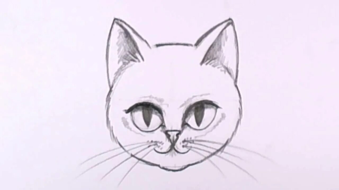 Котик карандашом легко. Мордочка кота карандашом. легкие рисунки. мордочка кошки рисунок карандашом. кошка карандашом легко.