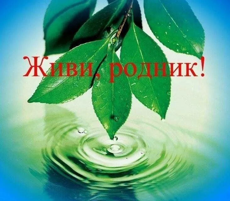 Презентация на тему живи родник. Экологический дозор. Живи родник. Живи родник. Живи родник.