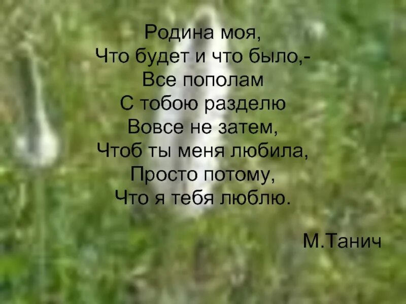 Песня мы не хотим чтоб наши земли. Песня Родина моя. Родина моя что было и что. Я люблю тебя моя Родина. Песня про родину Россию.