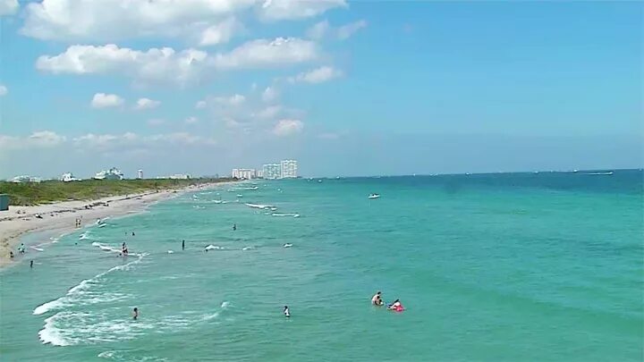 Камеры в реальном времени море. Флорида веб камеры. Веб камера океаны.