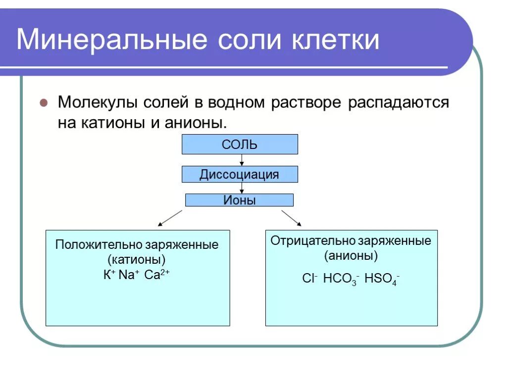 Растворы распад. Схема растворы Минеральных солей. Минеральные соли схема.