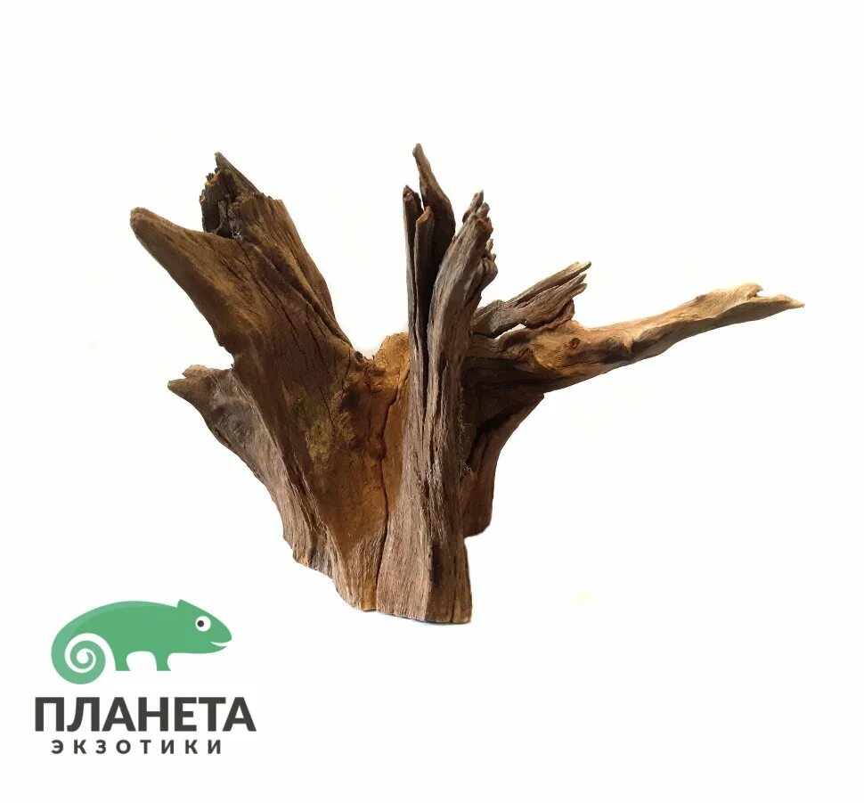 Коряги дуб для аквариума. Коряга дуб. дубовая коряга в аквариуме. палка дубовая коряга. корень дуба в аквариуме.