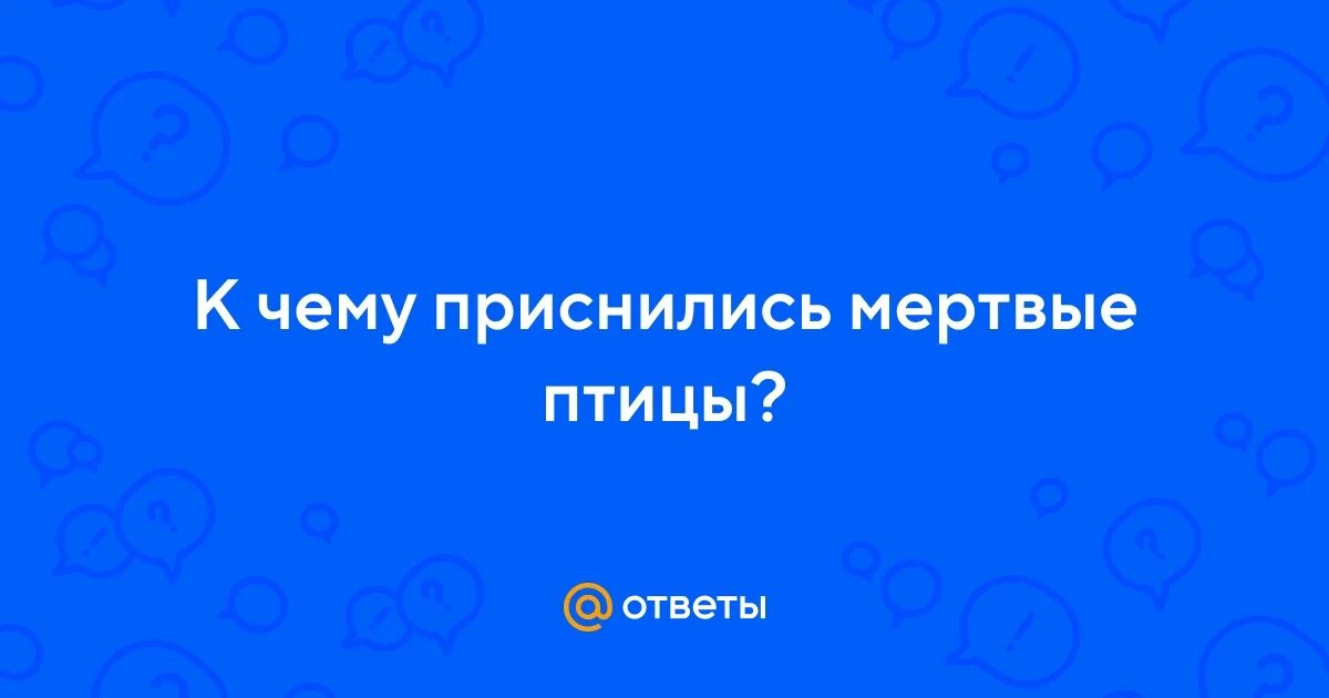 Раненая птичка. Голуби в херсоне. Сон голуби. Белый голубь без головы. Сон голуби.