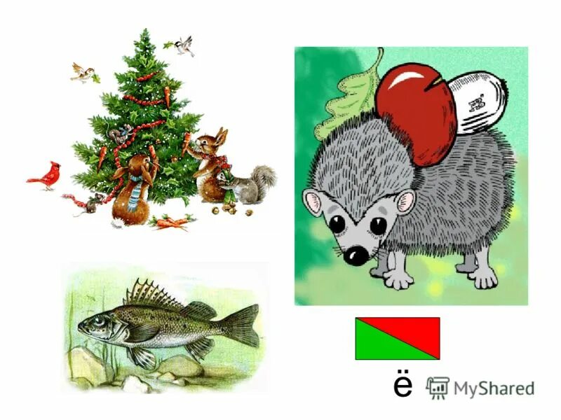Еж звуки разбор