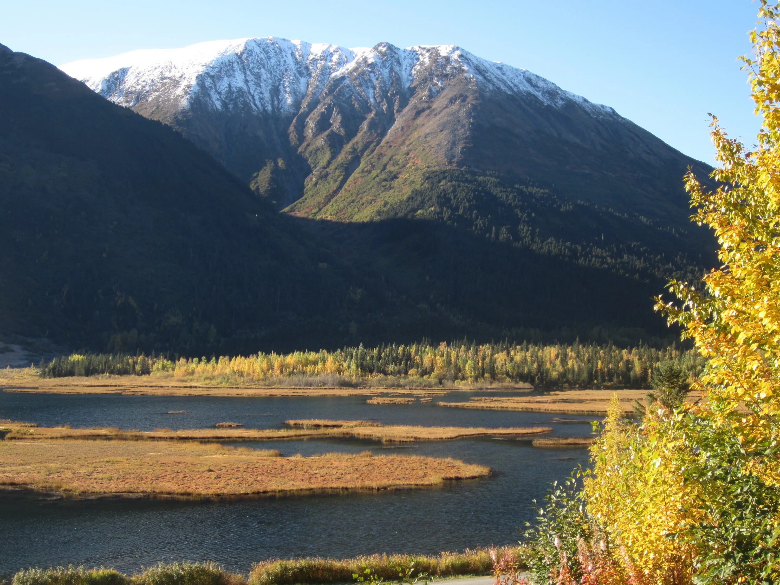 Аляска 05. Город Кенай Аляска. Штат Аляска природа. Река Кенай Аляска. Кенай (национальный резерват дикой природы).