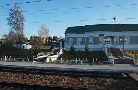 Погода новокамала
