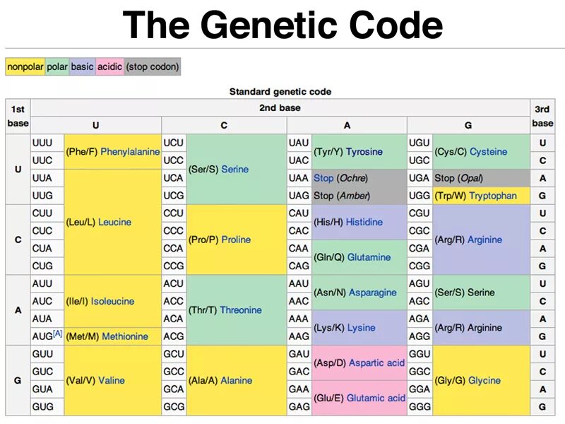 Property codes