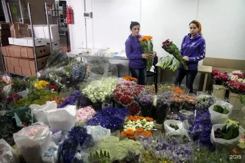 4 цвета казань