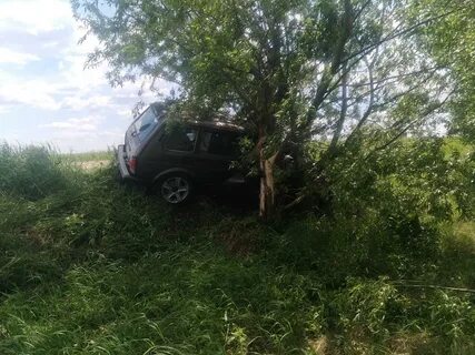 Нива мордовия