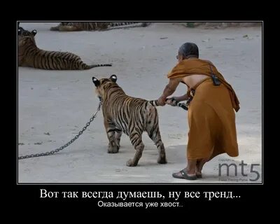 Извините подожди