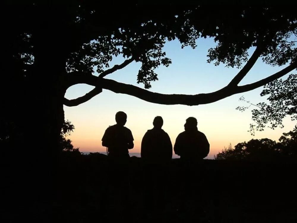 три парня со спины. подруги со спины. подруги со спины. три друга. третий лучший.