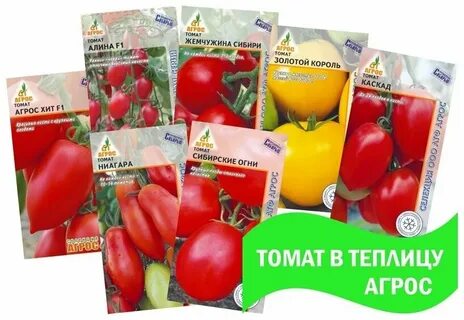 Томат ниагара описание отзывы
