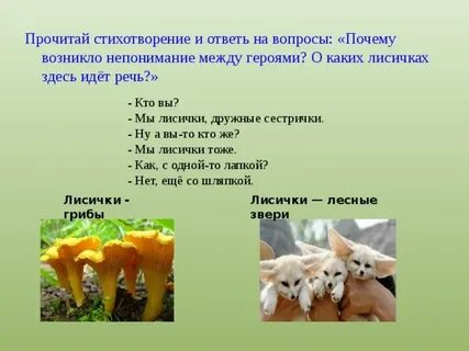 Лисички 2 класс русский