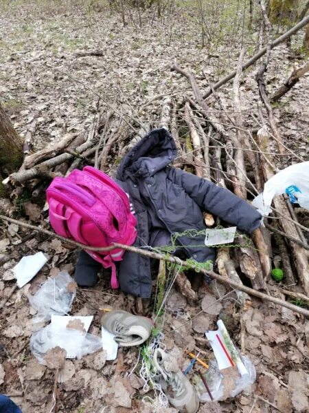 Найдена пропажа вещи. Пропавшая девочка в Холме Новгородской области. Пропавшая девочка из Новгородской области в 2011 году. Нашли ли девочек