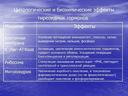 Мишени гормонов