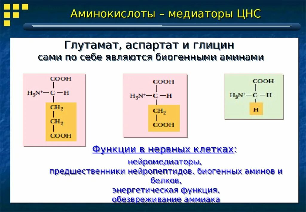 Свободные аминокислоты. Биогенные амины и аминокислоты. амины и биогенные амины. медиаторы аминокислоты. нейромедиаторы аминокислоты.