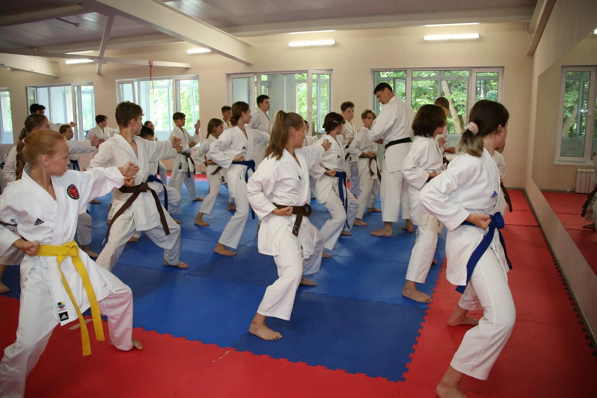 Спортивный клуб альфа. Альфа будо каратэ марьино. Будо борьба. Каратэ сетокан брюховецкая. Будо форум.