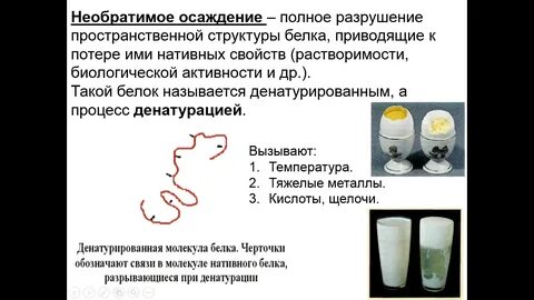 При разрушении структуры денатурация необратима