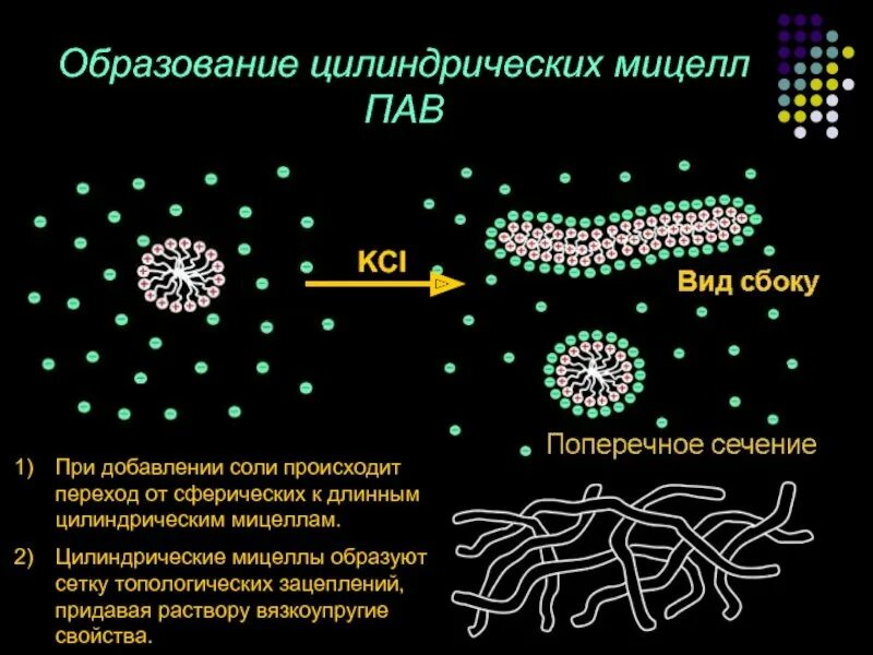 Мицелла это