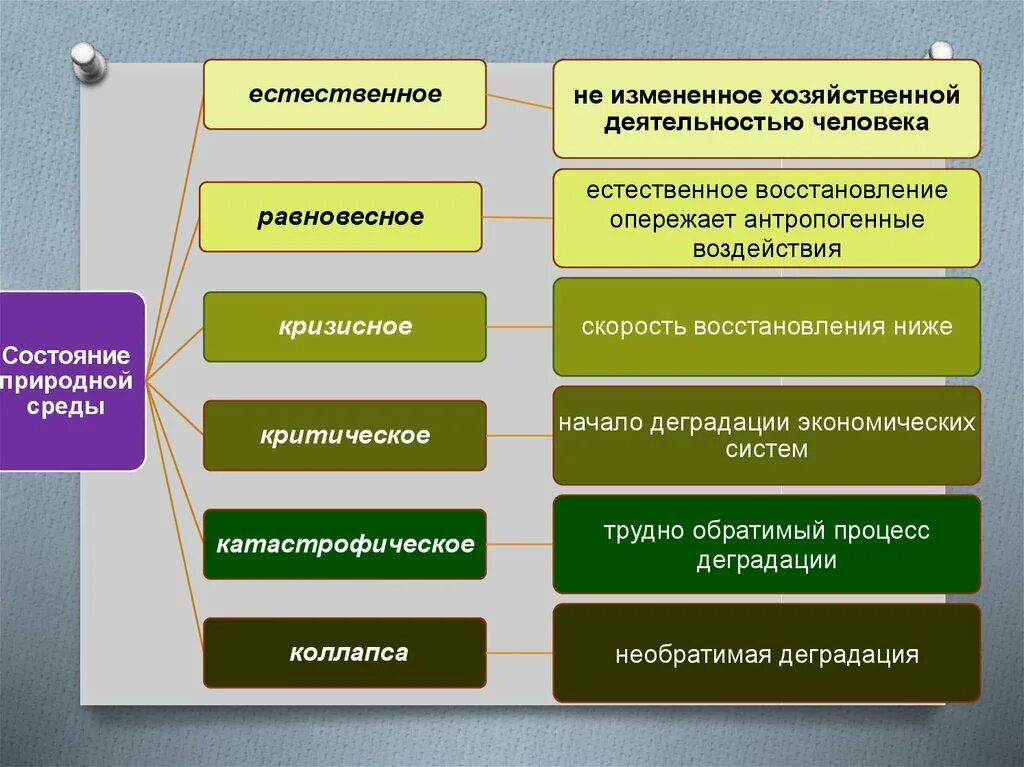 Человек природа взаимосвязь пример. Состояние природной среды. Естественное состояние природной среды. Состояние природной среды по степени ее деградации. Взаимоотношение общества и природы.