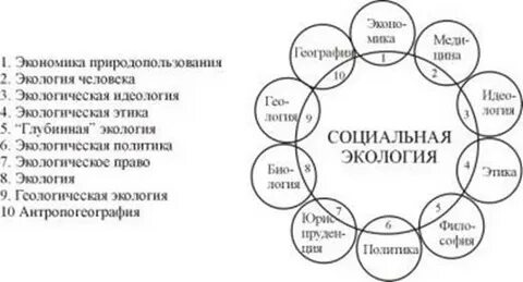Связь экологии с культурой