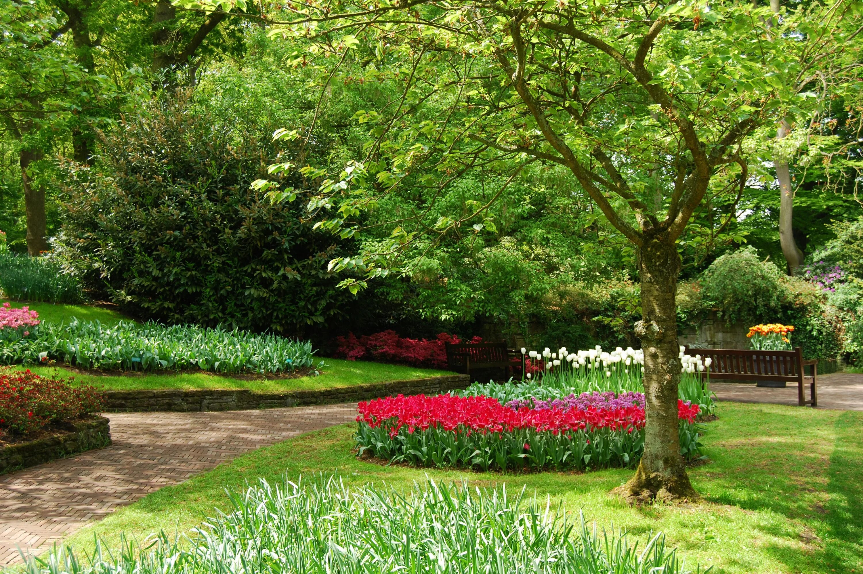 Парк какой прекрасный. Весенний сад (Spring Topiary Garden). Флауэрс Гарден парк. Сады Бутчартов розарий. Сад Кавати Фудзи.