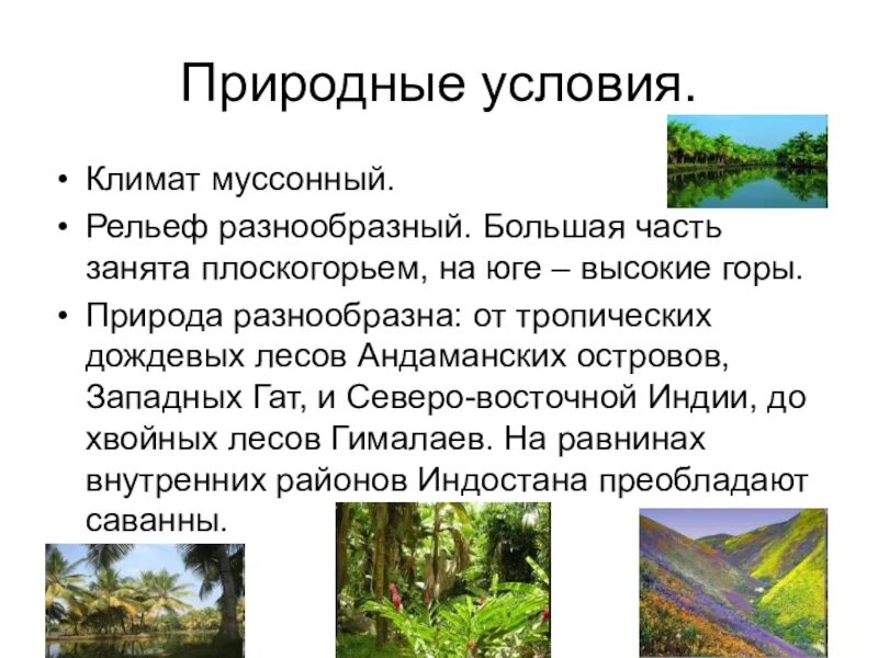 Природно климатические условия индии кратко