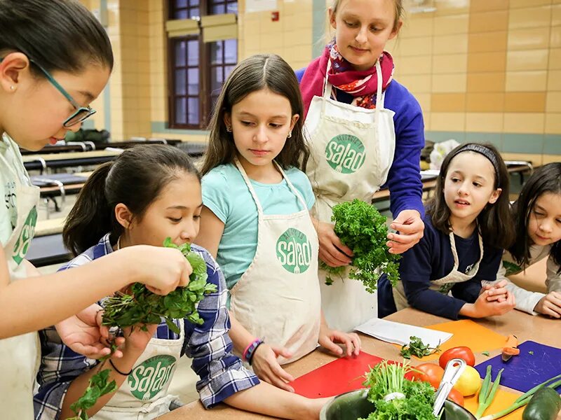 Cooking class. Мастер класс по веганской кухне. Cookery class School. Школа кулинарии картинки. Как есть мастер класс