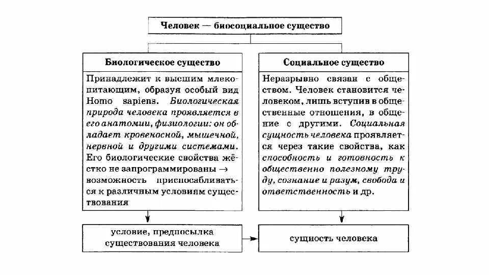 Человек как биосоциальное существо и социальное. Биологическая сущность человека и социальная сущность человека. Человек биологическое существо и социальное существо. Человек биосоциальное существо таблица.