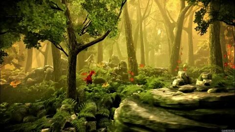 Forest tale
