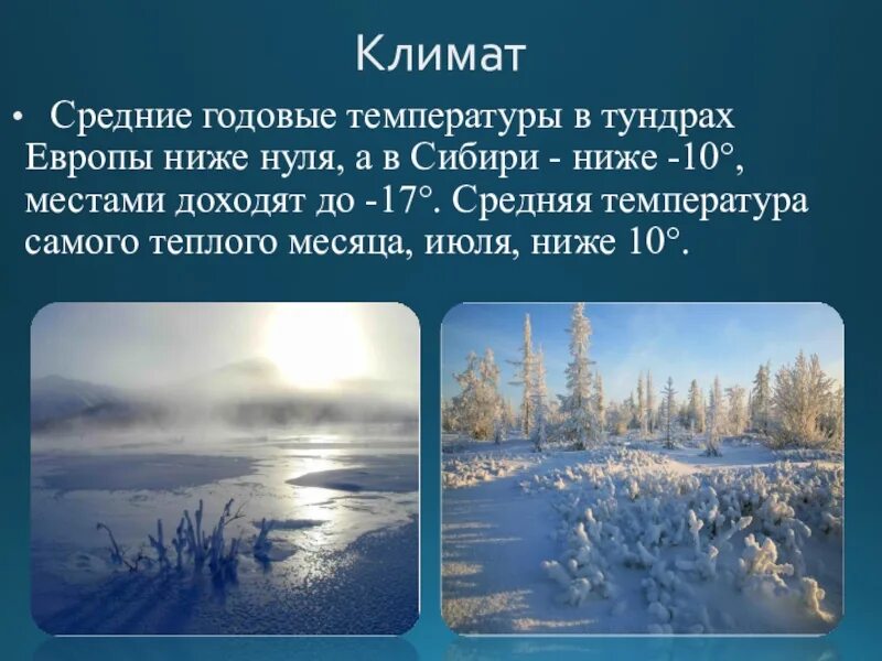Средняя температура в тундре летом. Тундра и лесотундра климат. Климат тундры и лесотундры в России. Лесотундра климатический пояс. Климат лесотундры 8 класс.