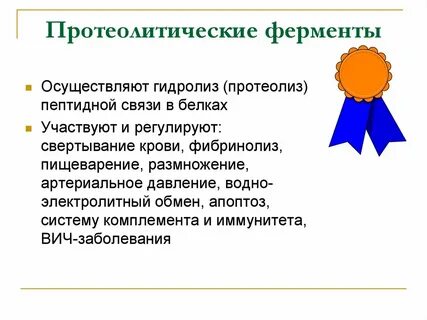 Ферменты протеолиза