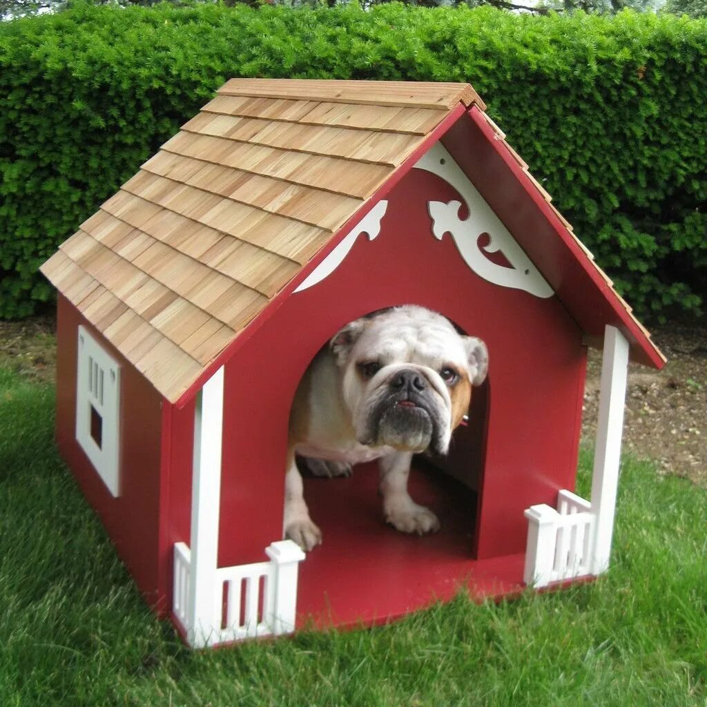 New dog house. Собака с конурой. Будка для собаки. Красивые собачьи будки. Домик для собачки.