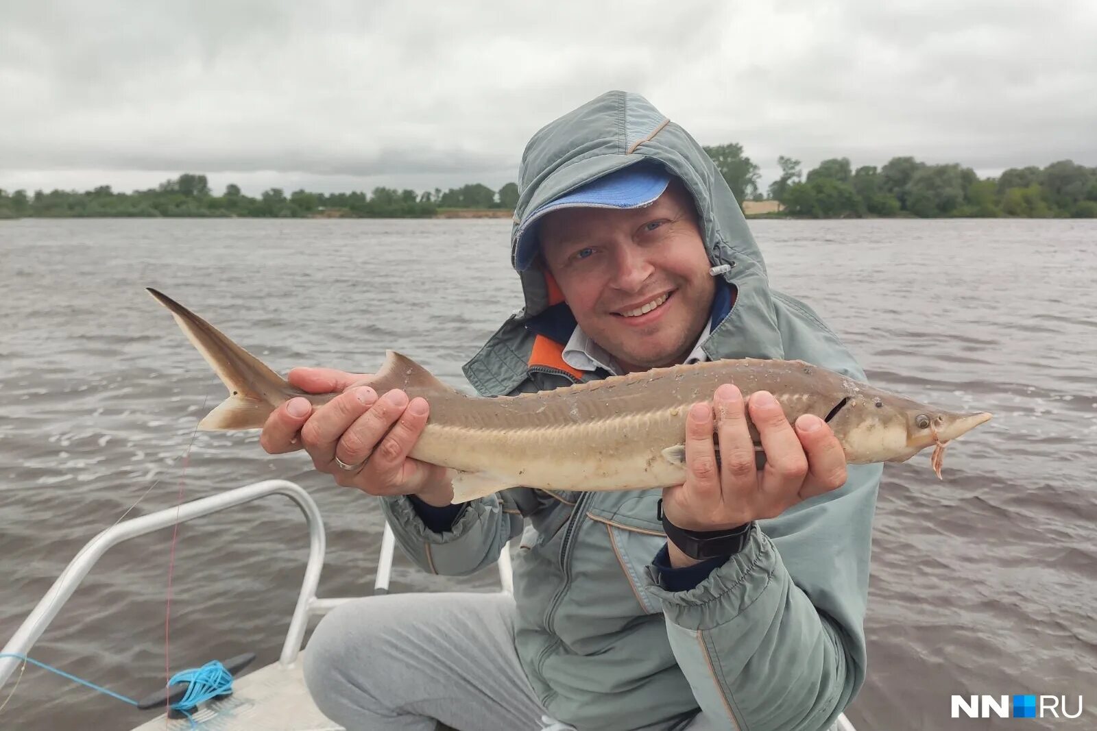 Рыбалка в Нижнем Новгороде. Рыба в Волге Нижний Новгород. Рыбаки Нижнего Новгорода. Рыбалка в Нижнем. Рыбалка нижний новгород и область в контакте