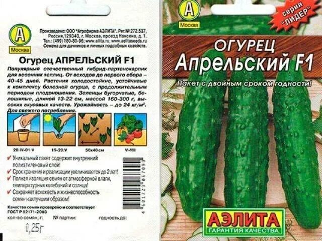 Посадка апрельского огурца