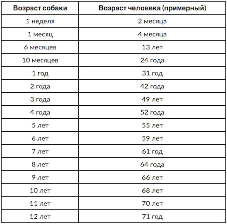 Сколько живет тома. Собачий Возраст по человеческим меркам таблица. 4 Месяца собаке по человеческим меркам это сколько лет таблица. Сколько лет по человечески собакам таблица. Таблица измерения возраста собаки и человека.