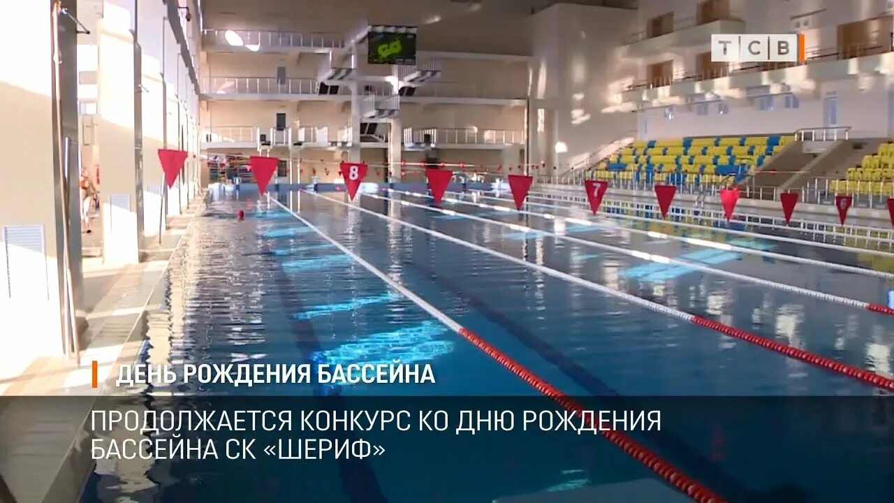 Тематическая вечеринка в бассейне. День рождения с бассейном москва. День рождения с бассейном москва. День рождения в бассейне. Тематическая вечеринка в бассейне.