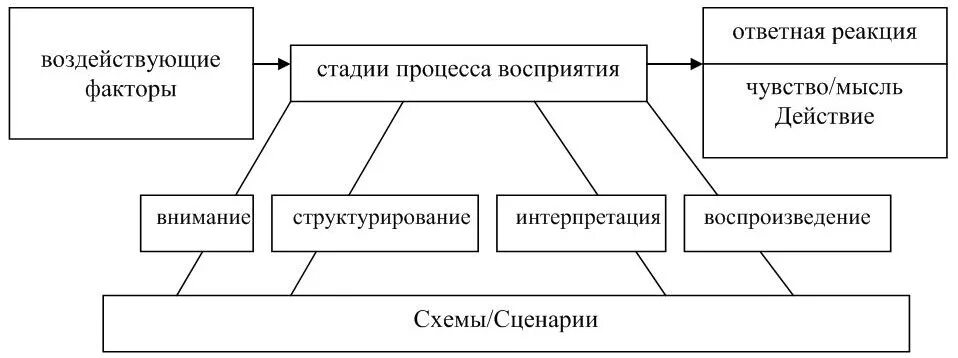 Факторы влияющие на восприятие. Факторы влияющие на восприятие человека. Стадии процесса восприятия. Факторы влияющие на восприятие и понимание людей.