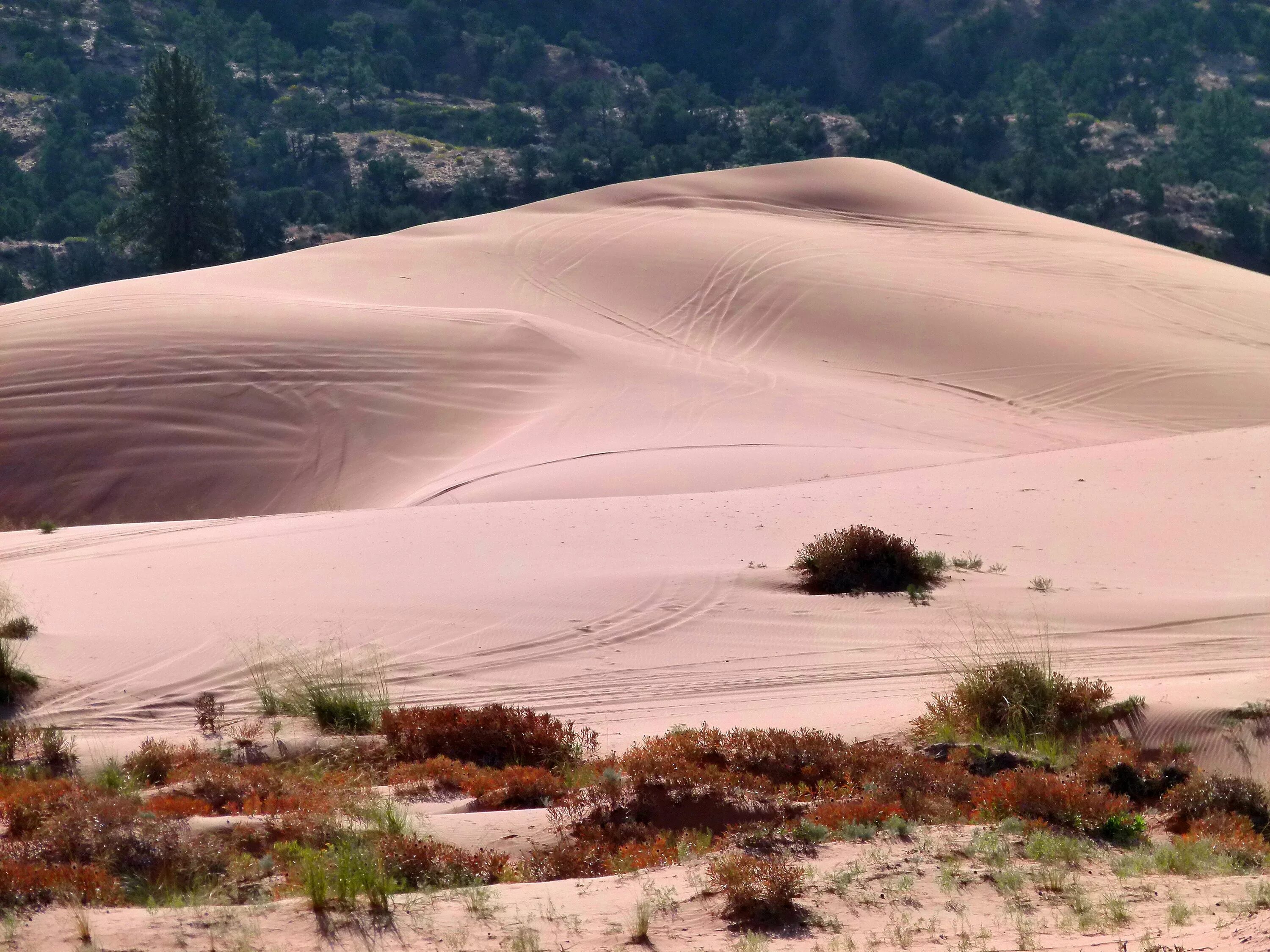Дюнна. Параболические дюны. Дюны и Барханы. Песчаные дюны штат Юта. Бархан рельеф.