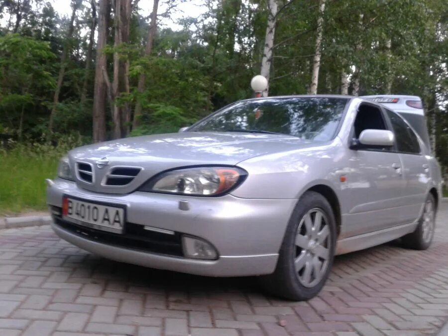 Куплю ниссан 1999 год. Nissan primera 1999 года. Nissan primera 1999 вайтбодю. Машина Ниссан премьера 1999 год. Ниссан примера 1999.